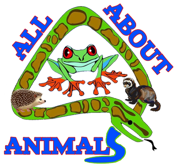 All About Animals LLC
